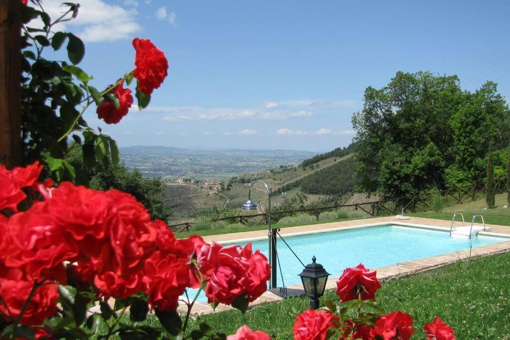 All Stone Horse Stable Converted To Elegant Apartment - Baltimora Spoleto Exterior photo